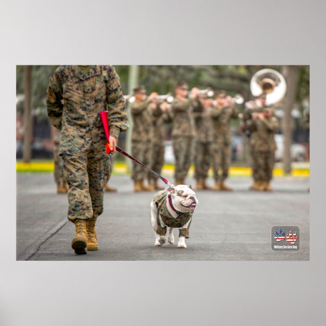 US MILITARY SERVICE DOG POSTER (Front)