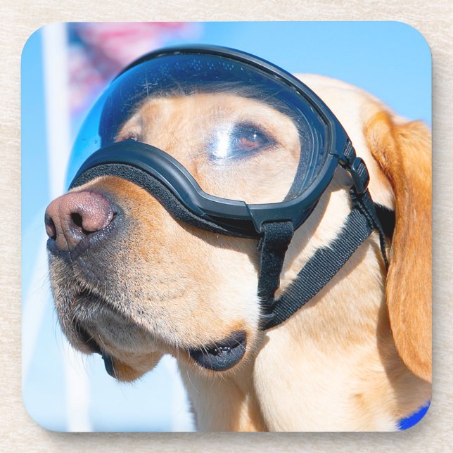 US MILITARY WORKING DOG COASTER (Front)