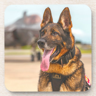 US MILITARY WORKING DOG COASTER