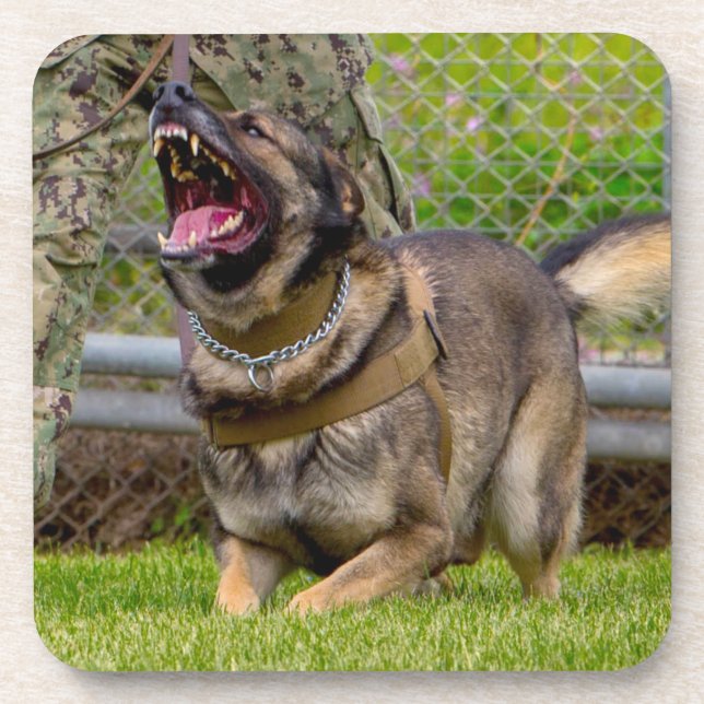 US MILITARY WORKING DOG COASTER (Front)