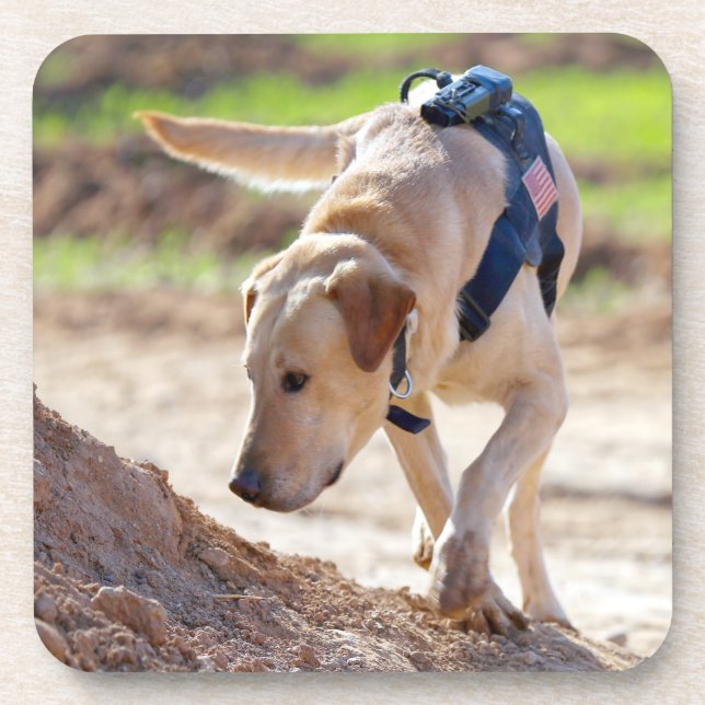 US MILITARY WORKING DOG COASTER (Front)