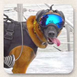 US MILITARY WORKING DOG COASTER
