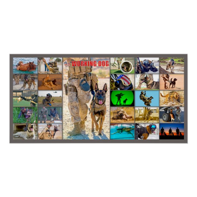 US MILITARY WORKING DOG "MONTAGE" POSTER (Front)