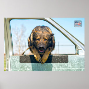 US MILITARY WORKING DOG POSTER