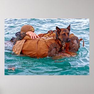 US MILITARY WORKING DOG POSTER