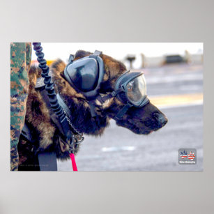 US MILITARY WORKING DOG POSTER