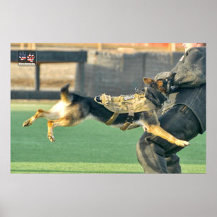 US MILITARY WORKING DOG POSTER