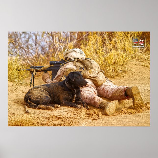 US MILITARY WORKING DOG POSTER (Front)