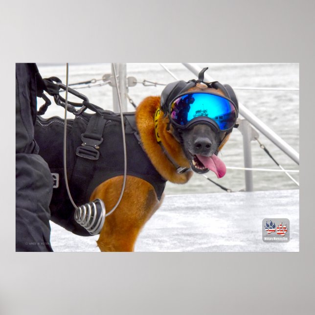 US MILITARY WORKING DOG POSTER (Front)