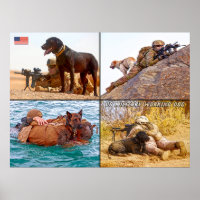 US MILITARY WORKING DOG