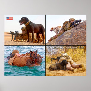 US MILITARY WORKING DOG POSTER