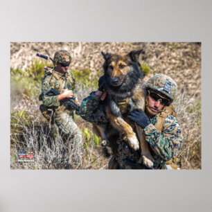 US MILITARY WORKING DOG POSTER