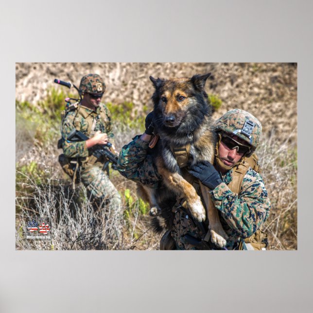 US MILITARY WORKING DOG POSTER (Front)