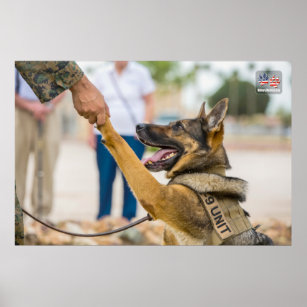 US MILITARY WORKING DOG POSTER