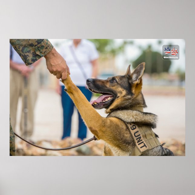 US MILITARY WORKING DOG POSTER (Front)