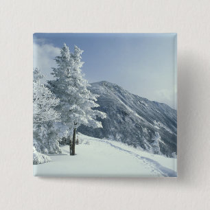 US, NH, Snow covered trees Trails Snoeshoe 15 Cm Square Badge