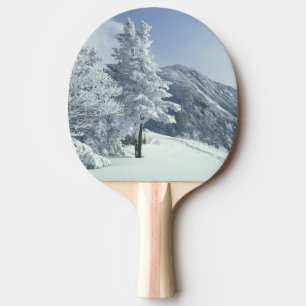 US, NH, Snow covered trees Trails Snoeshoe Ping Pong Paddle