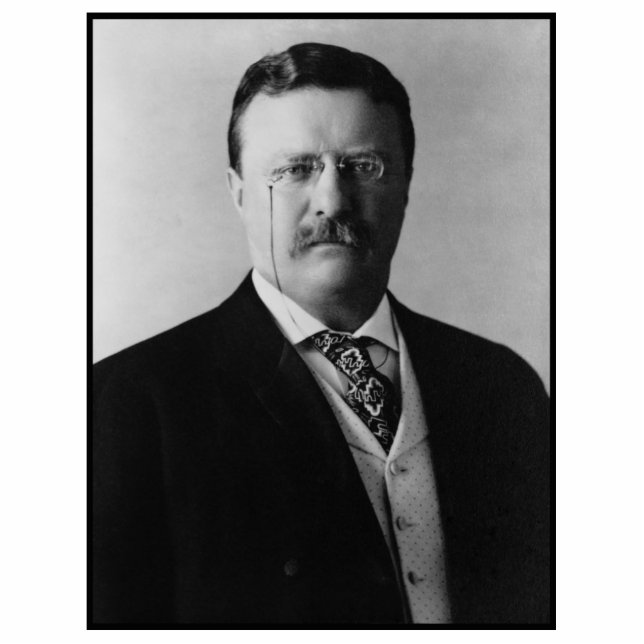 US President Theodore Teddy Roosevelt Portrait Photo Sculpture Decoration (Front)