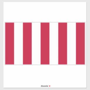 US Sons Of Liberty 9 Stripes Flag