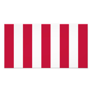 US Sons Of Liberty 9 Stripes Flag Photo Print