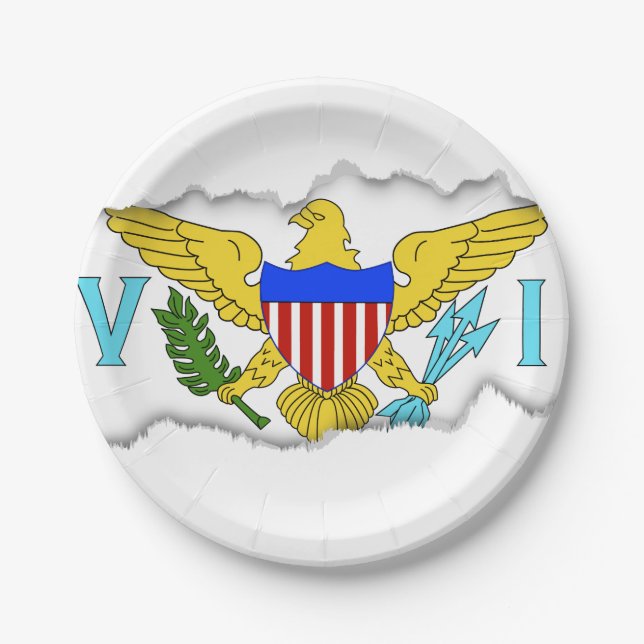 US Virgin Islands flag Paper Plate (Front)