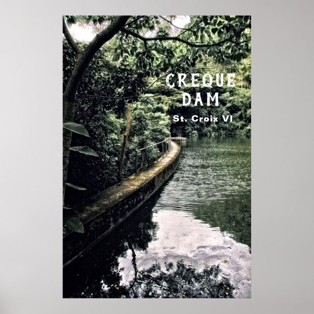  US Virgin Islands Rain Forest Creque Dam USVI  Poster (Front)