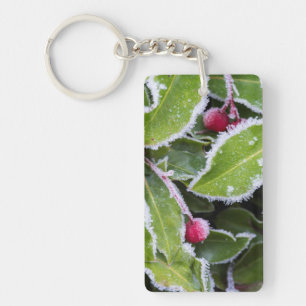 Us, Wa, Bainbridge Island. Early Morning Frost Key Ring