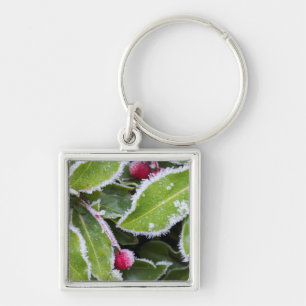 Us, Wa, Bainbridge Island. Early Morning Frost Key Ring
