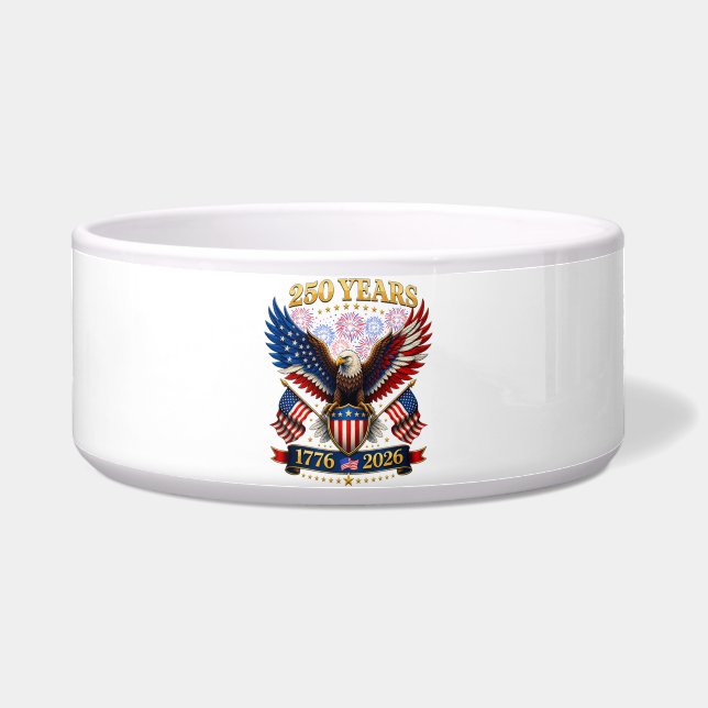 USA 250th Anniversary 1776-2026 (Front)