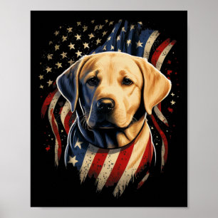 Usa 4th Of July Yellow Patriotic American Labrador Poster