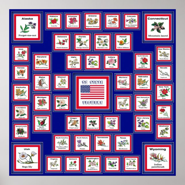 USA 50 STATE FLOWERS BLUE/558 POSTER (Front)