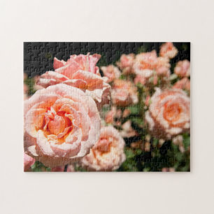 USA, Alabama, Theodore Near Mobile 5 Jigsaw Puzzle