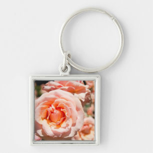 USA, Alabama, Theodore Near Mobile 5 Key Ring