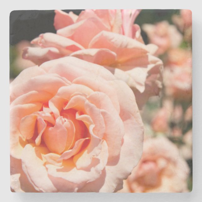 USA, Alabama, Theodore Near Mobile 5 Stone Coaster (Front)