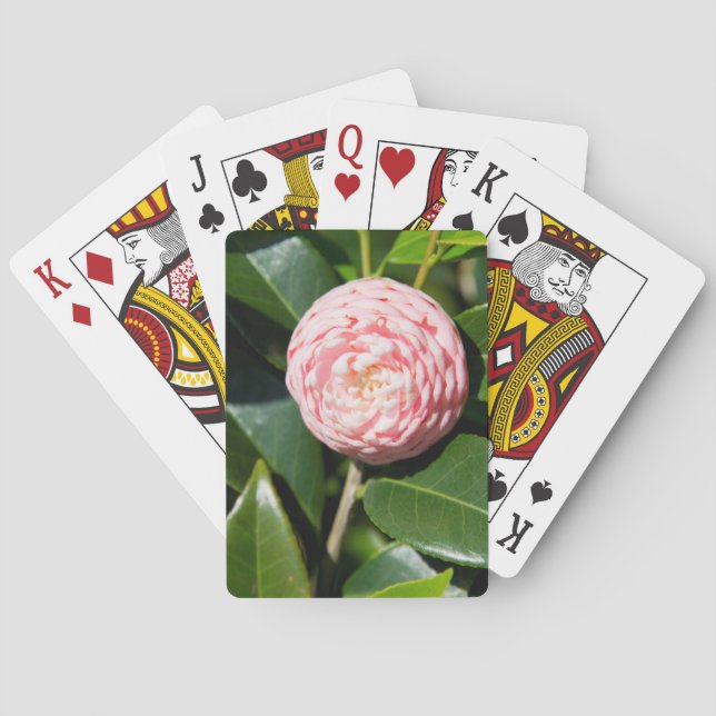 USA, Alabama, Theodore Near Mobile Playing Cards (Back)