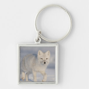 USA, Alaska, 1002 Coastal Plain of the ANWR. An 3 Key Ring