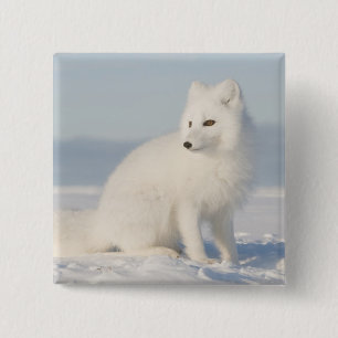 USA, Alaska, 1002 Coastal Plain of the Arctic 5 15 Cm Square Badge