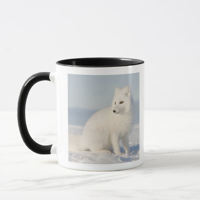 USA, Alaska, 1002 Coastal Plain of the Arctic 5 Mug (Left)