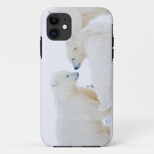 USA, Alaska, 1002 Coastal Plain of the Arctic Case-Mate iPhone Case (Back)