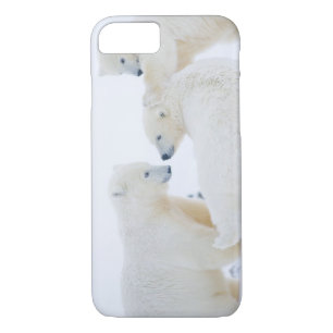 USA, Alaska, 1002 Coastal Plain of the Arctic iPhone 8/7 Case