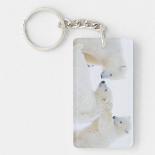 USA, Alaska, 1002 Coastal Plain of the Arctic Key Ring