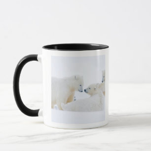 USA, Alaska, 1002 Coastal Plain of the Arctic Mug