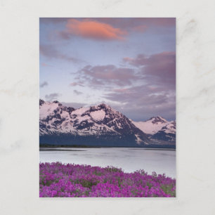 USA, Alaska, Alsek River Valley. View of Alsek Postcard
