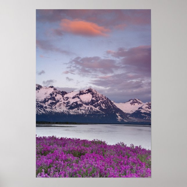 USA, Alaska, Alsek River Valley. View of Alsek Poster (Front)