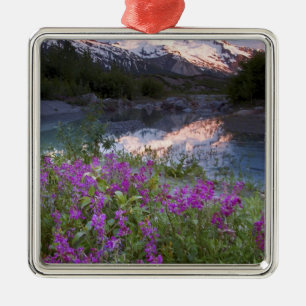 USA, Alaska, Alsek-Tatshenshini Wilderness. Metal Tree Decoration