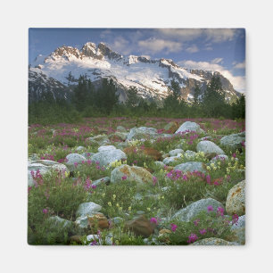 USA, Alaska, Alsek-Tatshenshini Wilderness. View Magnet