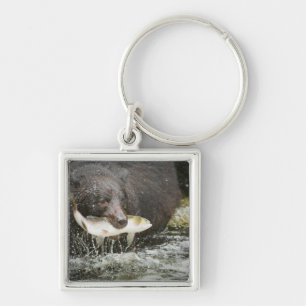 USA, Alaska, Anan Creek. Close-Up Of Black Bear Key Ring