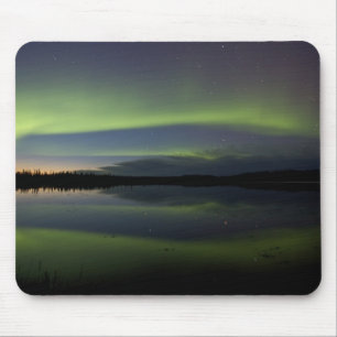 USA, Alaska, Arctic Circle, Bettles. The Mouse Mat