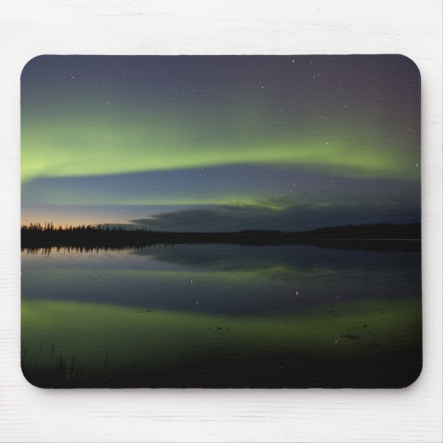 USA, Alaska, Arctic Circle, Bettles. The Mouse Mat (Front)