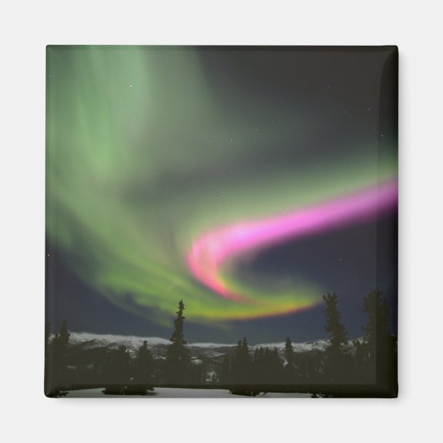 USA, Alaska, Chena Hot Springs. Aurora 2 Magnet (Front)